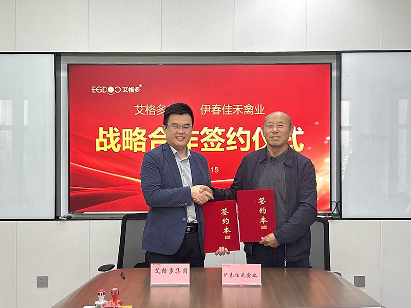 強強聯(lián)合，共筑蛋雞產(chǎn)業(yè)新篇章：艾格多集團與佳禾禽業(yè)簽署戰(zhàn)略合作協(xié)議